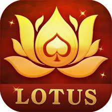 rummy teen patti bonus 50 download